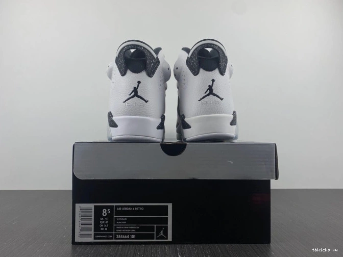 Cheap TB 6 Jordan 384664-101 Oreo Retro 0718